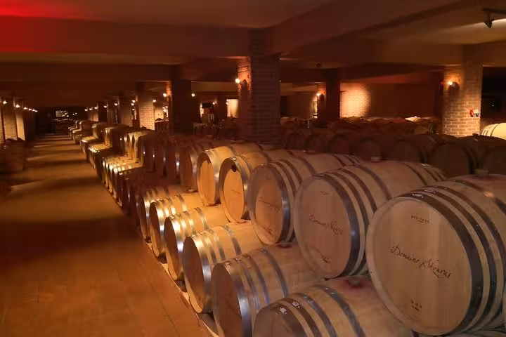 Oak barrels in a Greek winery cellar during Corinth Canal day trip from Athens wine tasting experience