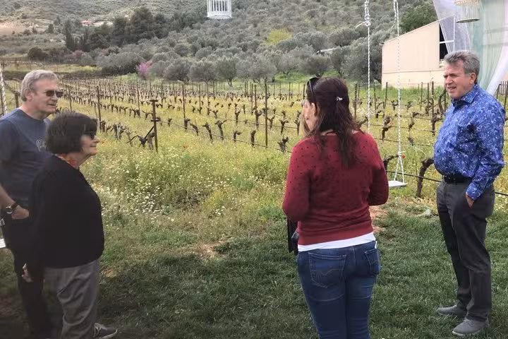 Tour group in a Peloponnese vineyard near Corinth Canal, learning about local wine before tasting from Athens