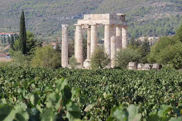 Ancient Temple of Apollo in Corinth beside vineyards, private day trip including Corinth Canal visit and wine tasting