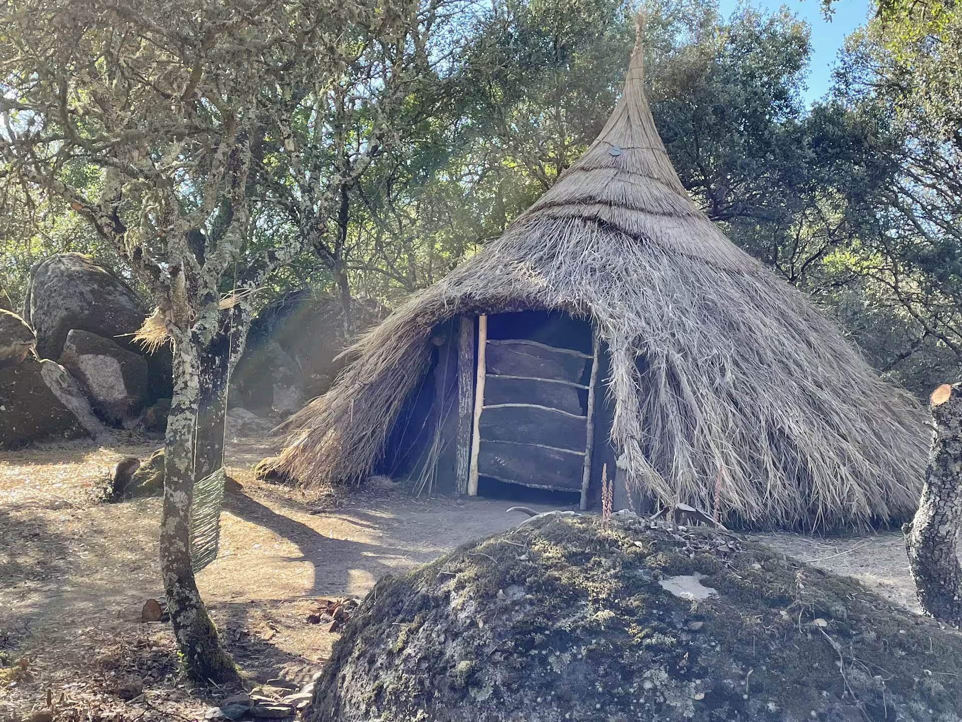 Traditional thatched hut amidst lush trees in Alentejo, showcasing rustic heritage on a cork factory tour.