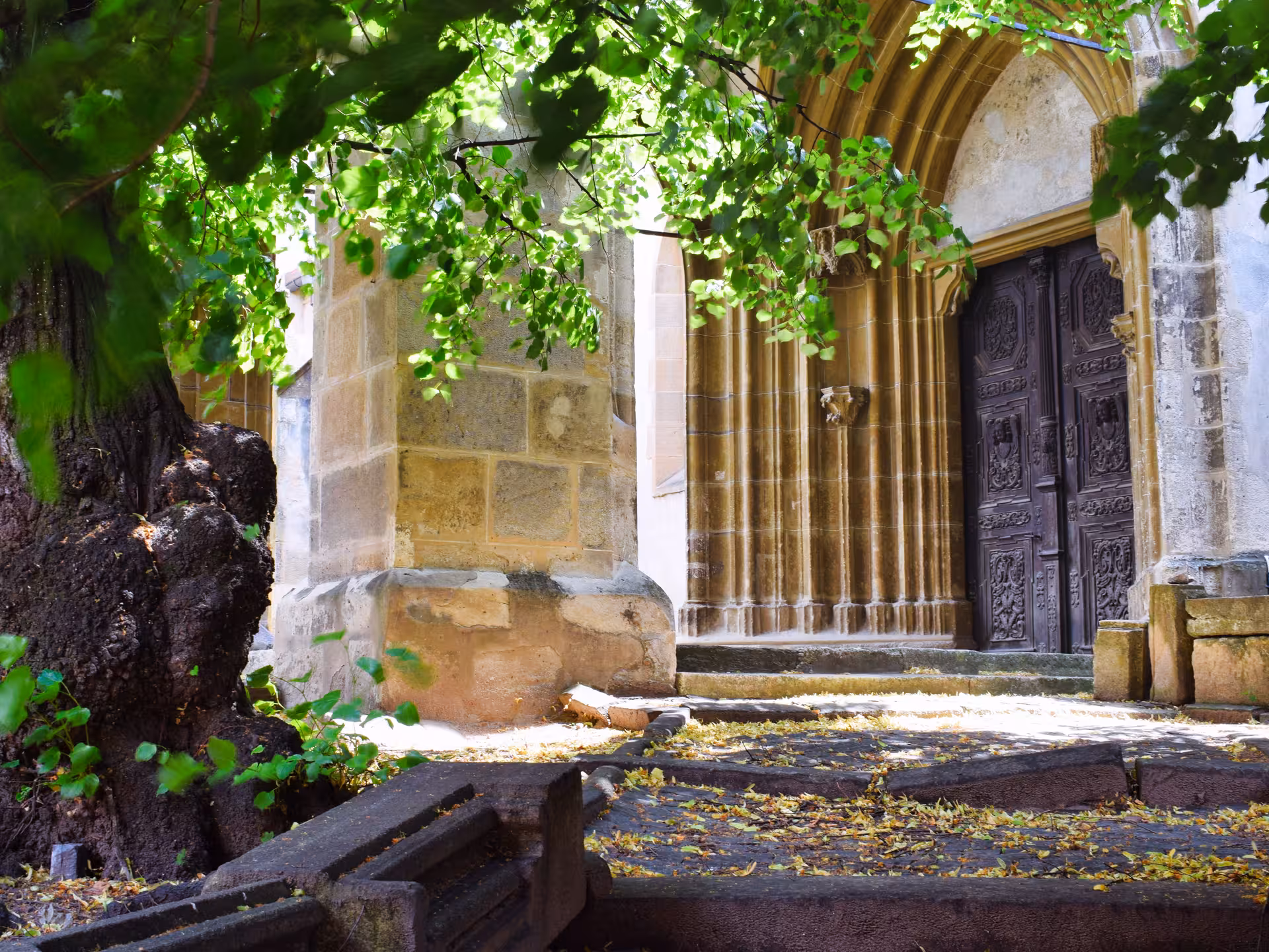 Gothic arched entrance of Corvin Castle with ornate carved wooden doors framed by lush green tree branches in Romania