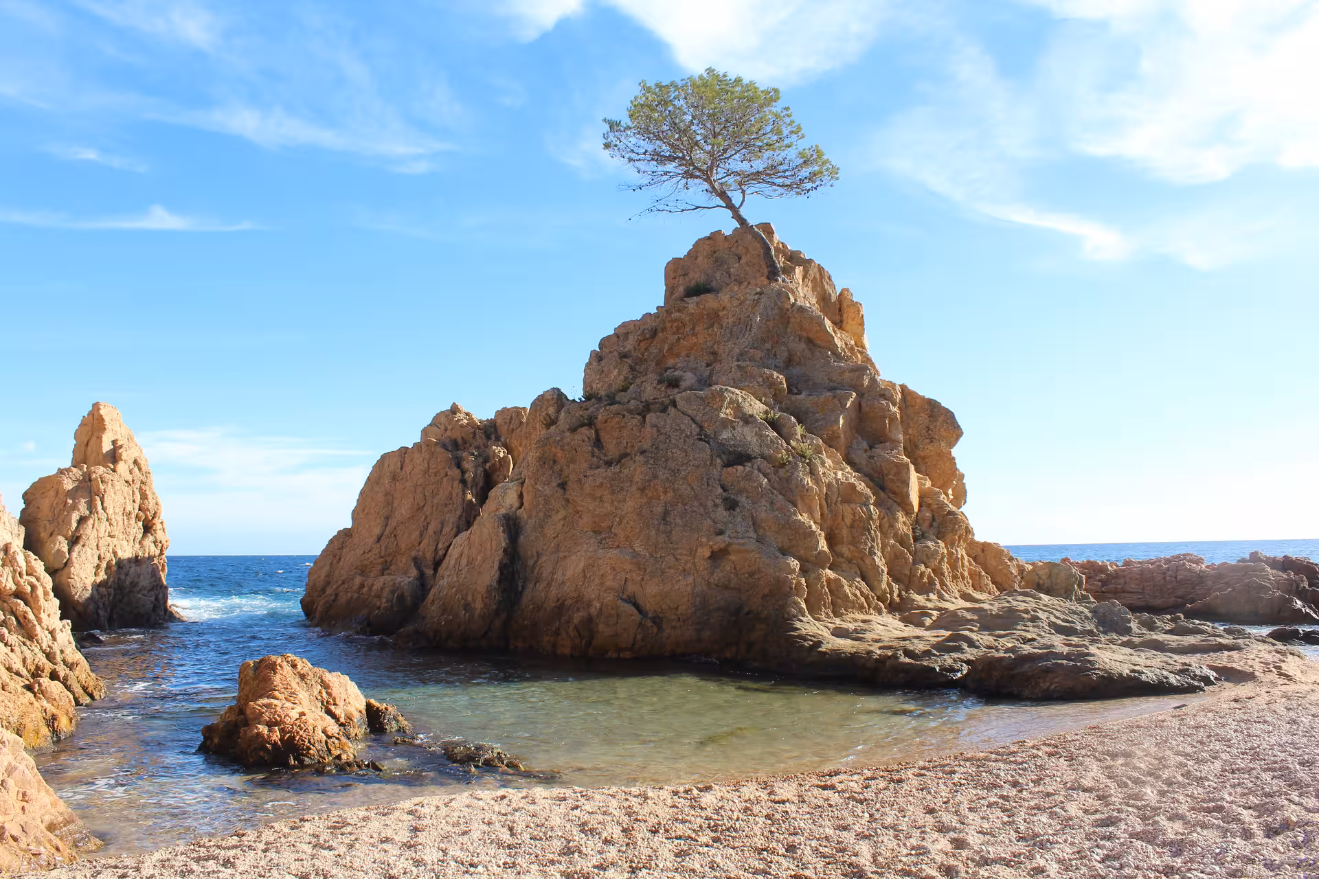 Rocky Costa Brava cove with lone pine on sea stack, a scenic beach day trip from Barcelona