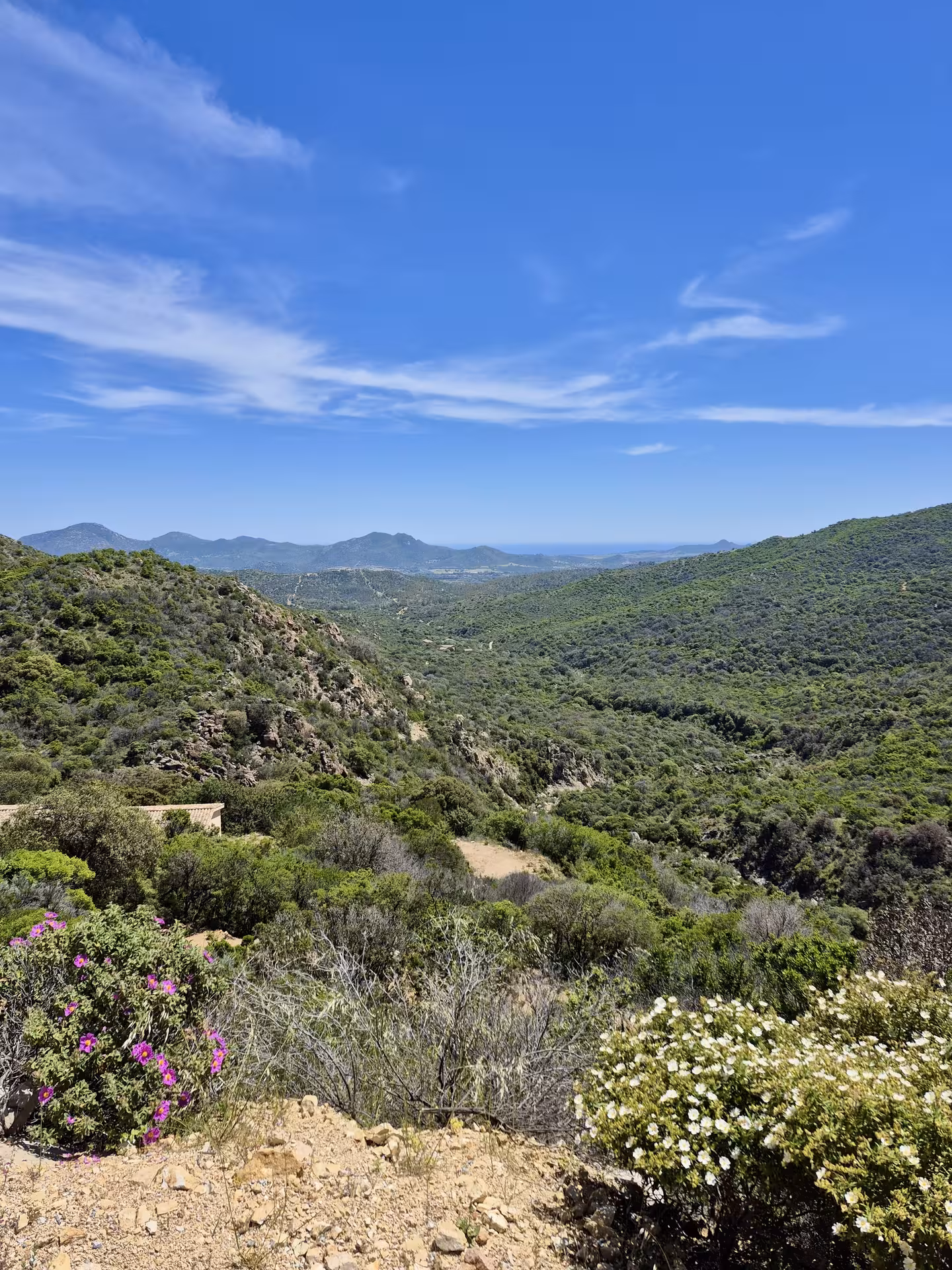 Expansive view of lush valleys and distant mountains under a clear blue sky on the Costa Rei jeep tour.