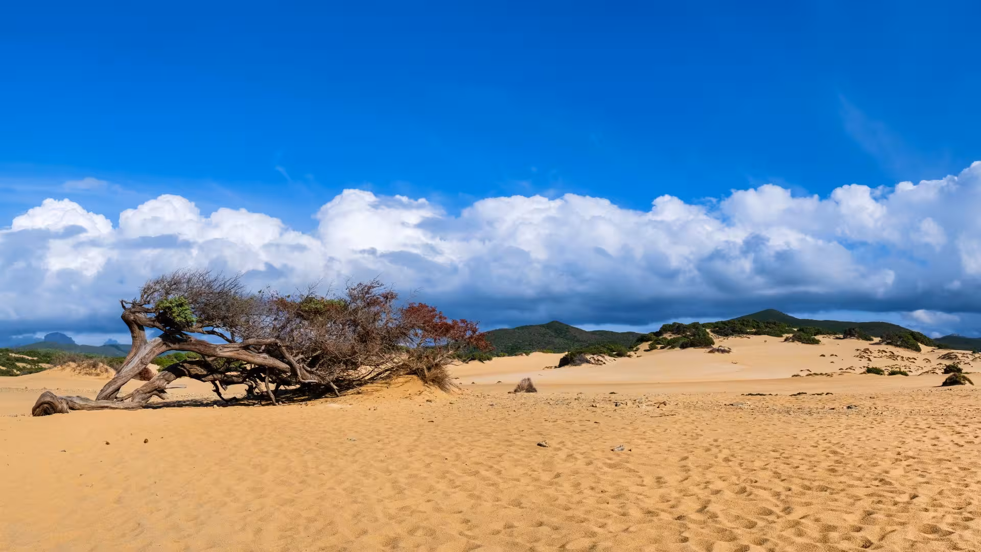 Expansive Costa Verde sand dunes under a vibrant blue sky, perfect for an off-road adventure from Oristano.
