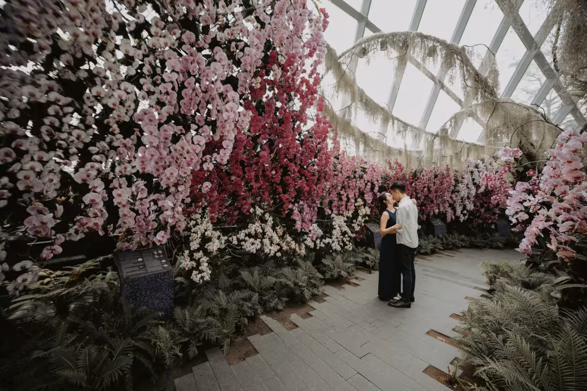 Couple embracing amidst vibrant orchids during a private photoshoot in Singapore's floral paradise.