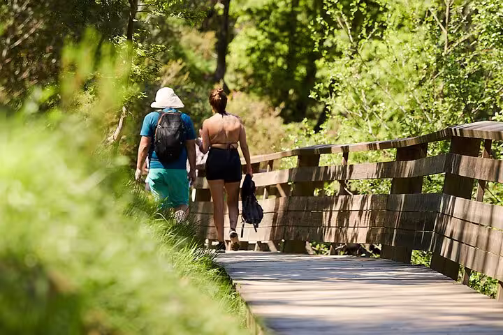 Couple enjoying a sunny walk on Paiva Walkways, surrounded by lush greenery.