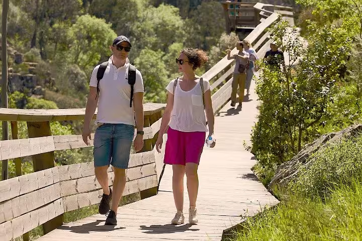 Couple walking leisurely on the Paiva Walkways, surrounded by vibrant greenery and wooden trails under the sun.