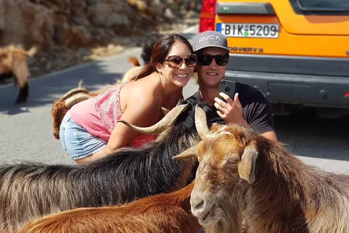Couple taking a selfie with goats near their vehicle on a scenic Crete tour to Vai Beach.
