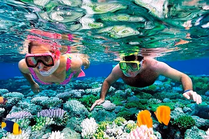 Couple snorkeling over vibrant coral reef at Giftun Island National Park, Red Sea, full-day tour from Hurghada