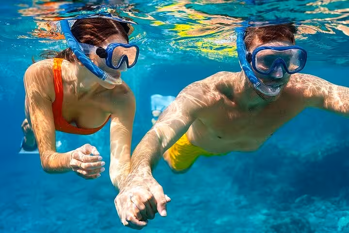 Couple snorkeling in crystal-clear water at Samadai Reef Dolphin House, Marsa Alam Red Sea tour