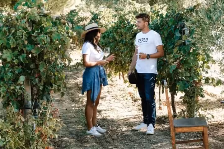 Couple tasting Greek wine in a vineyard on the Greece Wine Roads tour from Athens to Nemea and Santorini