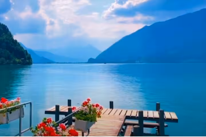 Scenic lake view with blooming flowers and mountains on the Crash Landing on You private tour route.