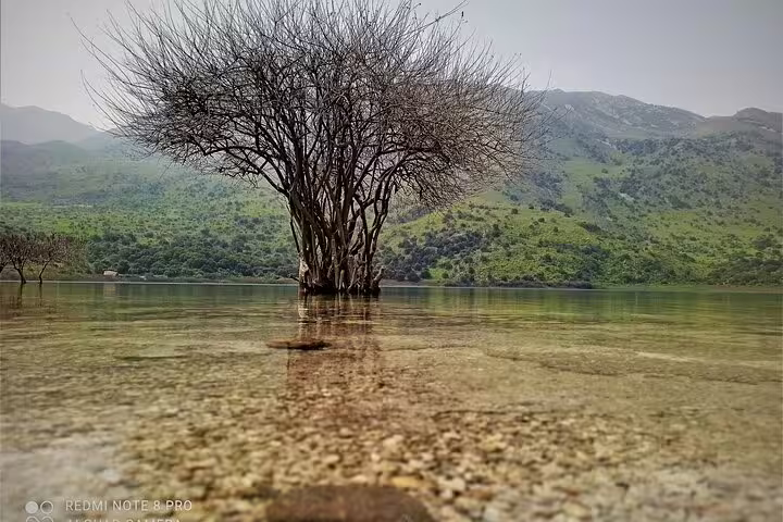 Bare tree standing in the clear waters of a scenic lake with lush green hills in Crete countryside.
