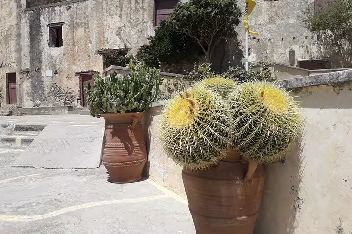 Potted cacti in traditional terracotta pots against a rustic stone building on Crete's South Coast tour.