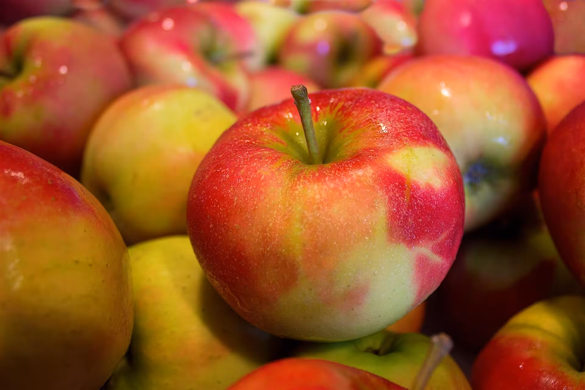Close-up of crisp red-green apples at a gourmet market tour, showcasing fresh seasonal fruit for tasting