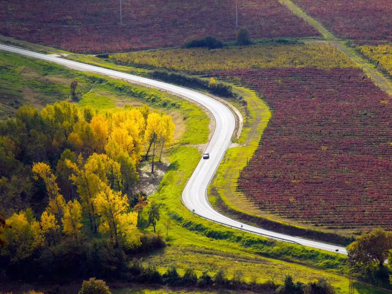Winding country road through vineyards in Croatia, perfect for a 15-day self-drive tour road trip