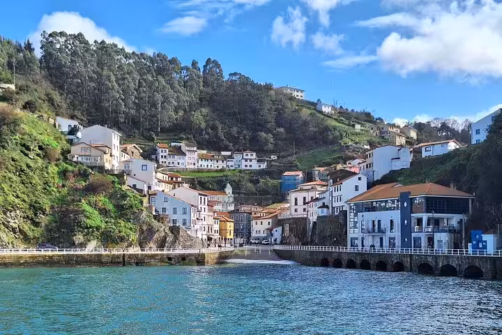 Picturesque coastal village of Cudillero with hillside houses and lush greenery against a bright blue sky.