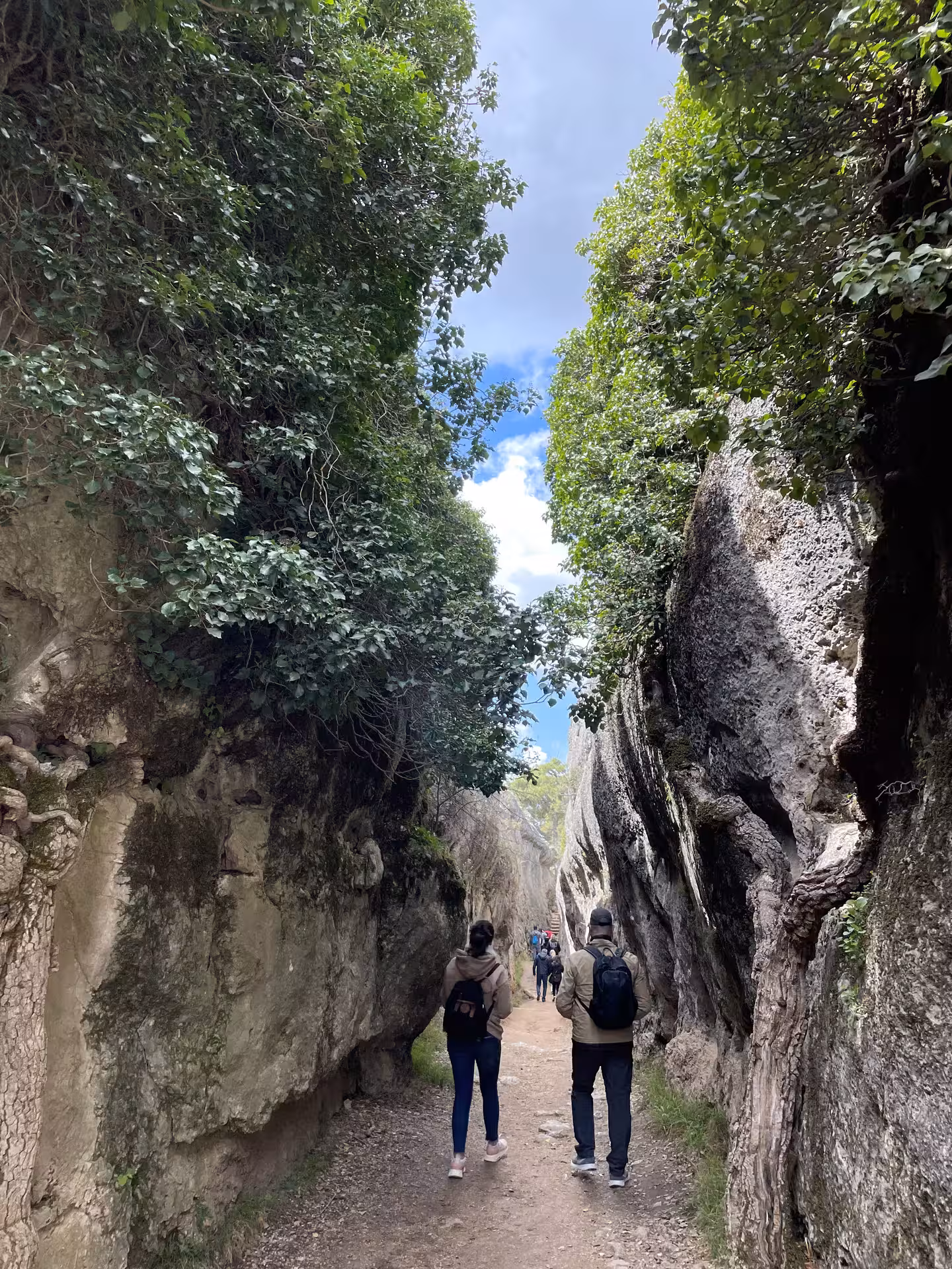 Hikers on the Ciudad Encantada forest trail, Cuenca and Enchanted City day tour from Madrid with nature views