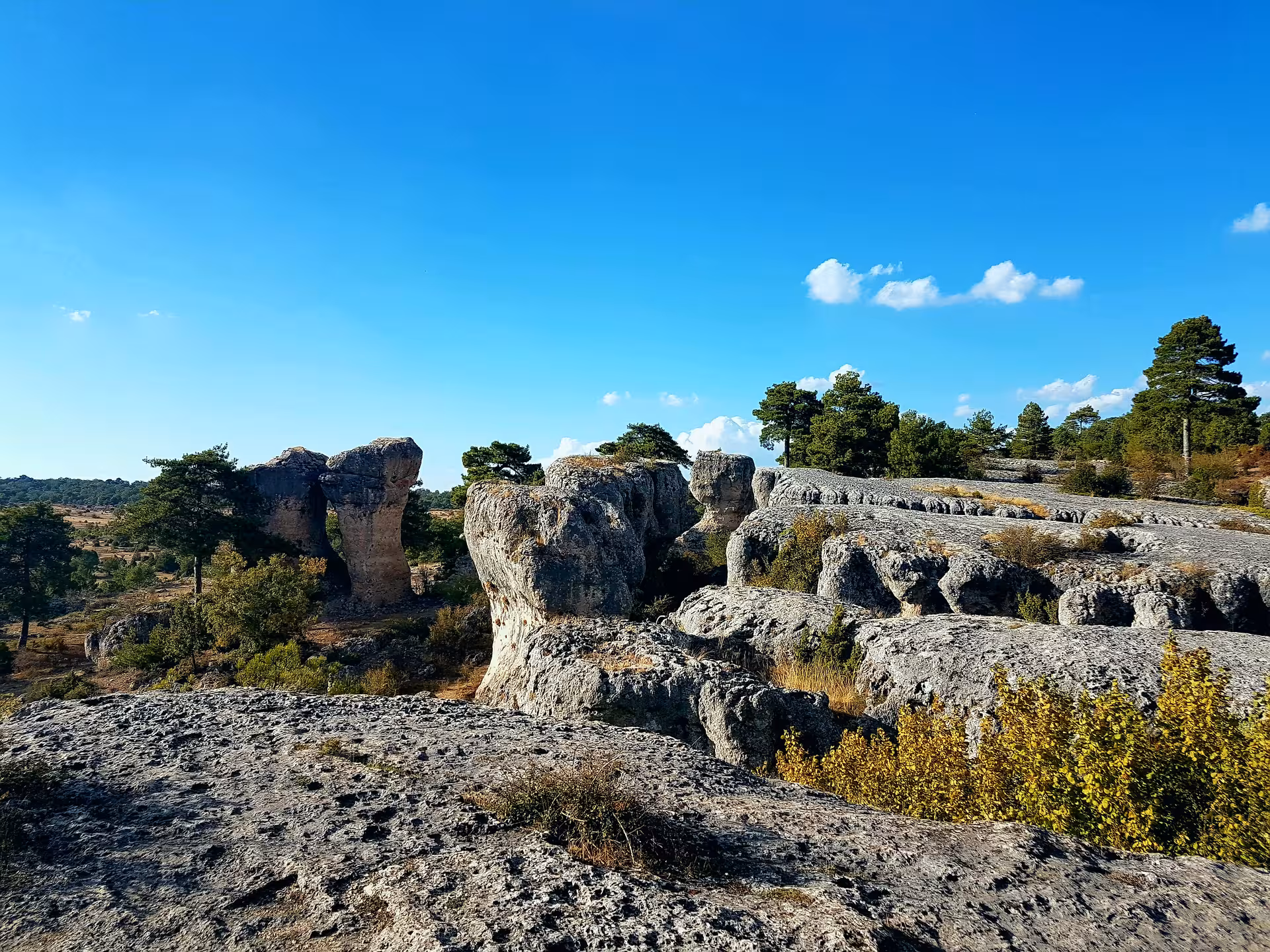 Panoramic Ciudad Encantada limestone rocks and pines, highlight of Cuenca day tour from Madrid