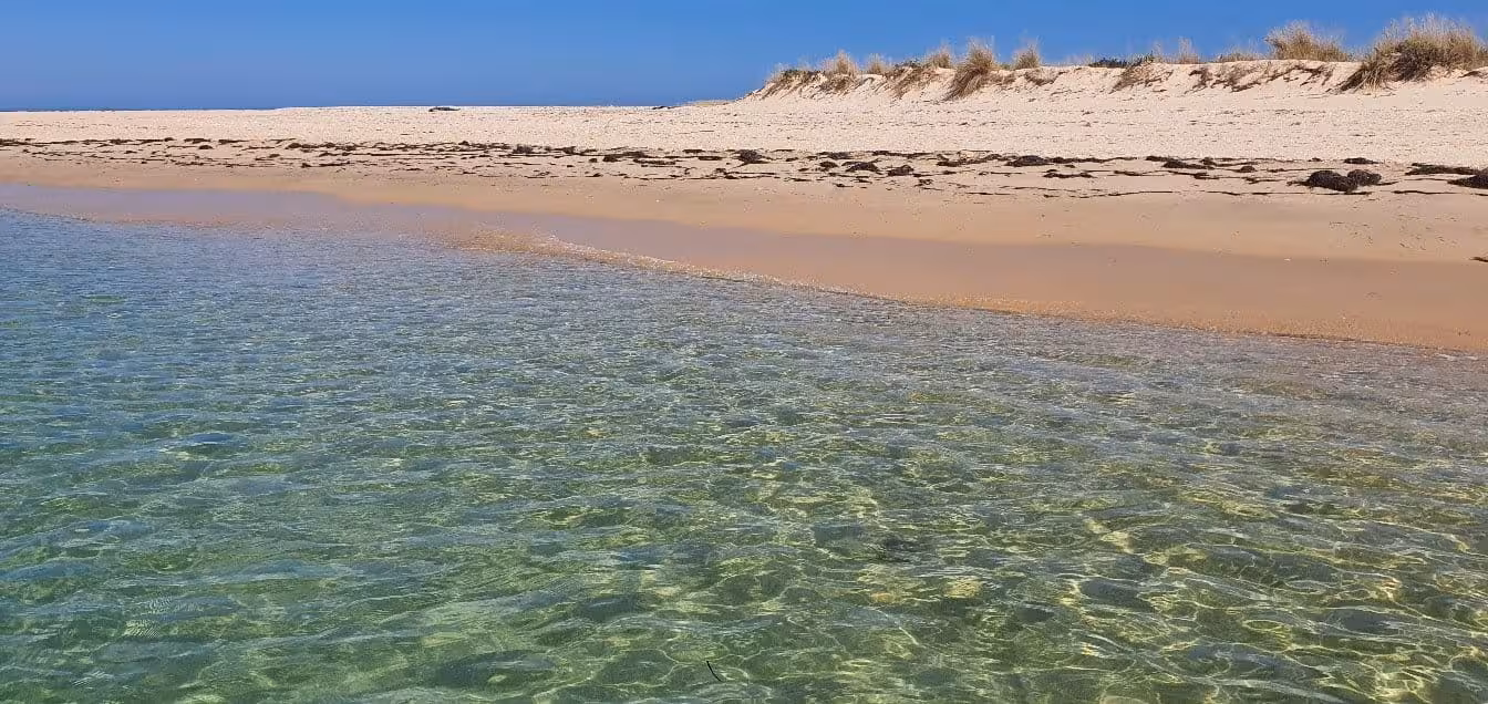 Pristine beach on Culatra Island with clear turquoise waters and golden sands under a bright blue sky.