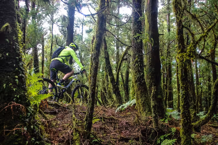 Cyclist in neon gear explores dense green woodland on an off-road Bike Rental Sete Cidades adventure in the Azores