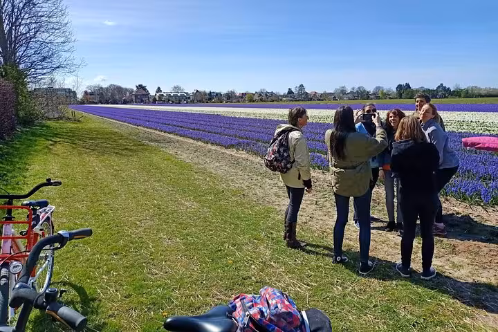 Cyclists pause by colorful flower fields near Haarlem on a guided highlight bike tour through Dutch countryside