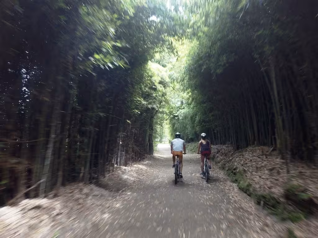 Cyclists riding a forest trail in Furnas, São Miguel Azores, on the Mystic Furnas bike and canoe tour