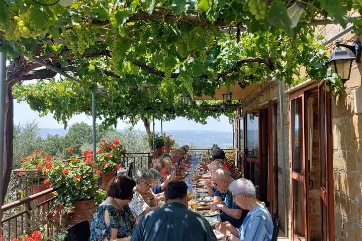 Group lunch under vine pergola at traditional Cyprus taverna, authentic Cypriot workshop, wine tasting and culture