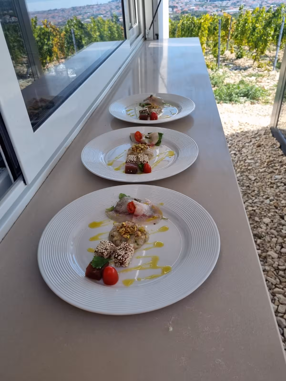 Plated Dalmatian appetizers with olive oil drizzle served beside vineyard views near Split on a wine and dine tour