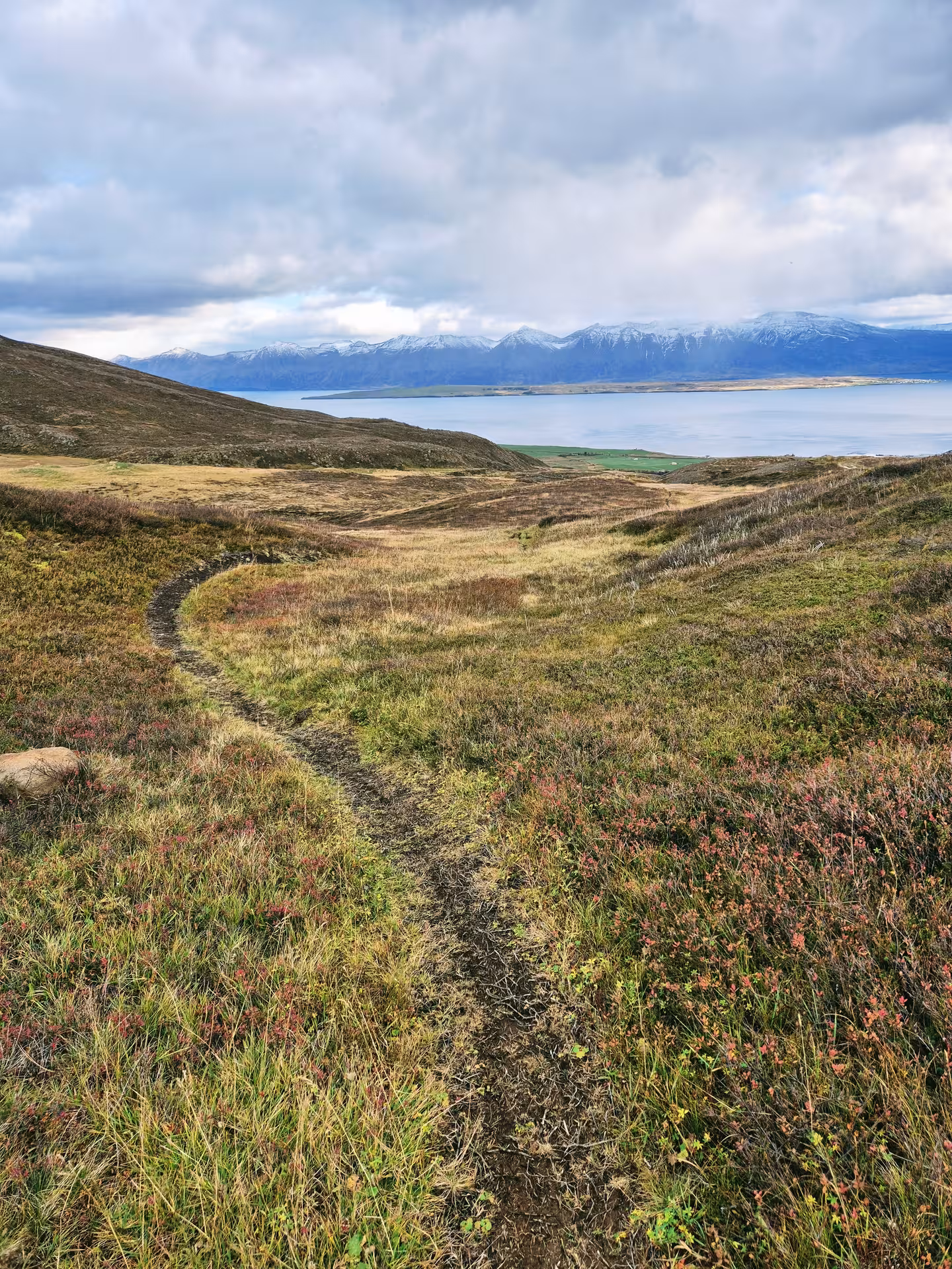 Narrow mountain trail winding through colorful heathland with fjord and snow-capped mountains in background