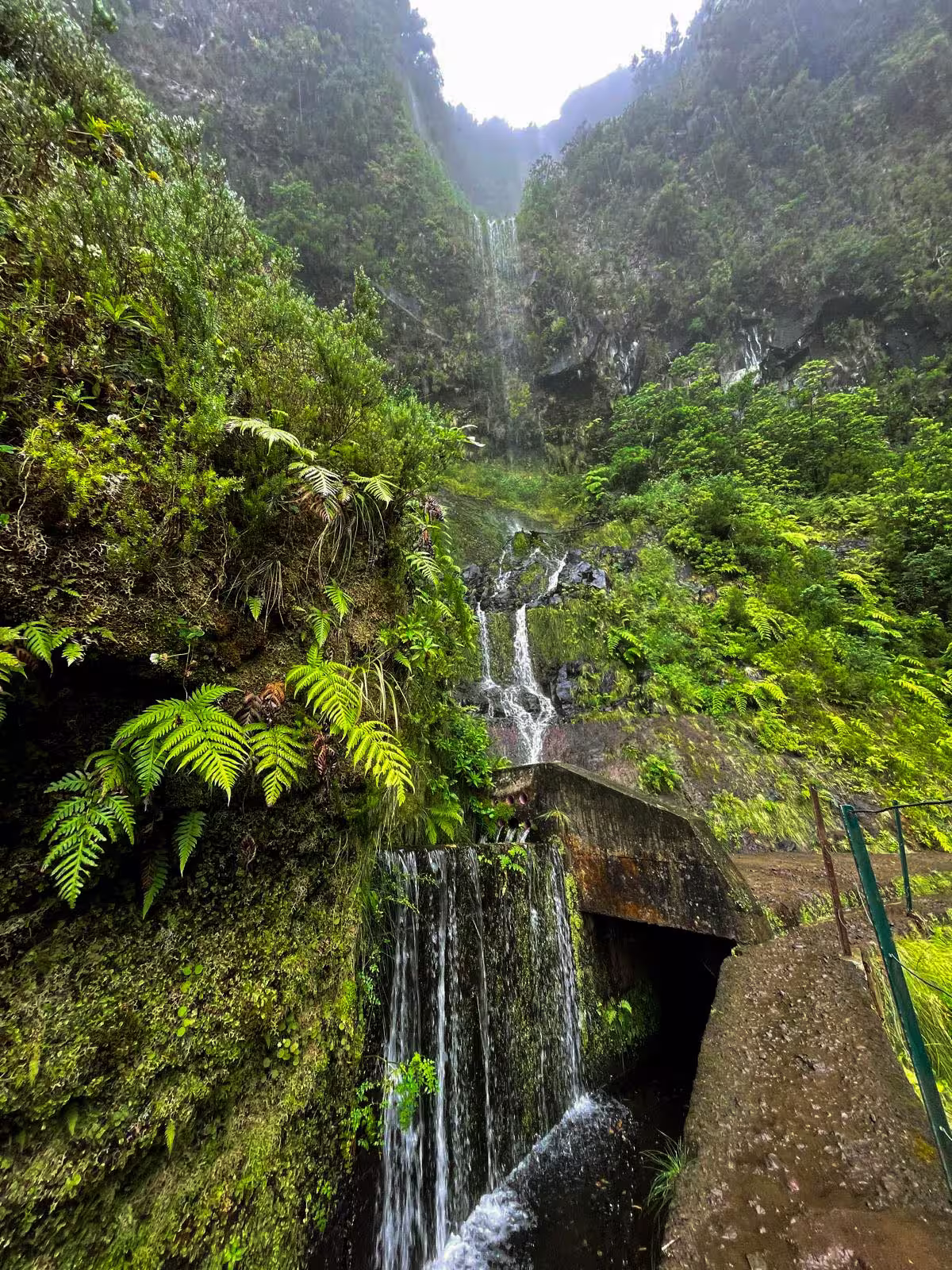 Majestic waterfall cascading down mossy cliffs on 'The Dark Hike', showcasing nature's raw beauty and serenity.
