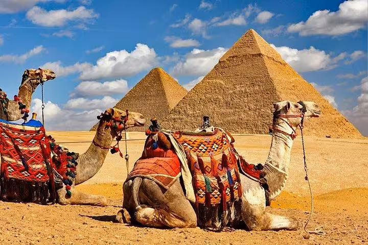 Decorated camels with Giza Pyramids backdrop, private Cairo one-day tour from Hurghada including photo stops