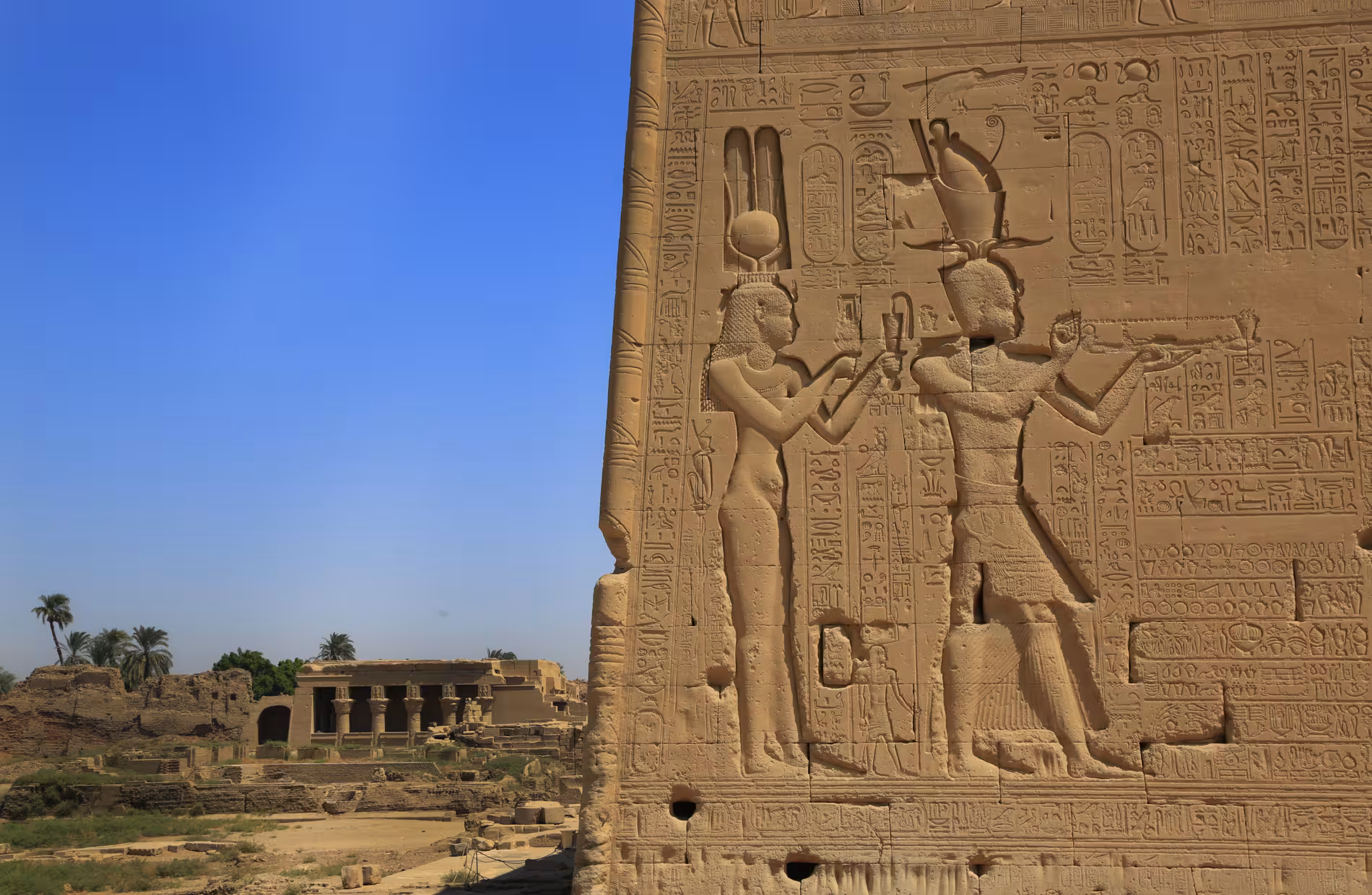 Detailed pharaonic relief carvings and hieroglyphs on Dendera Temple exterior wall on guided tour from Safaga Egypt