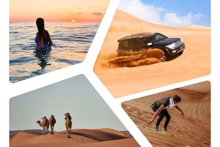 Adventurous collage featuring a serene swim at sunset, thrilling dune bashing, camel riding, and exciting sandboarding in the desert.