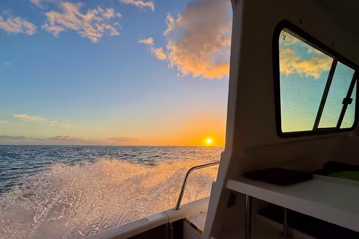 Experience a breathtaking sunset over the ocean during the Desertas Island boat tour, showcasing vibrant skies.