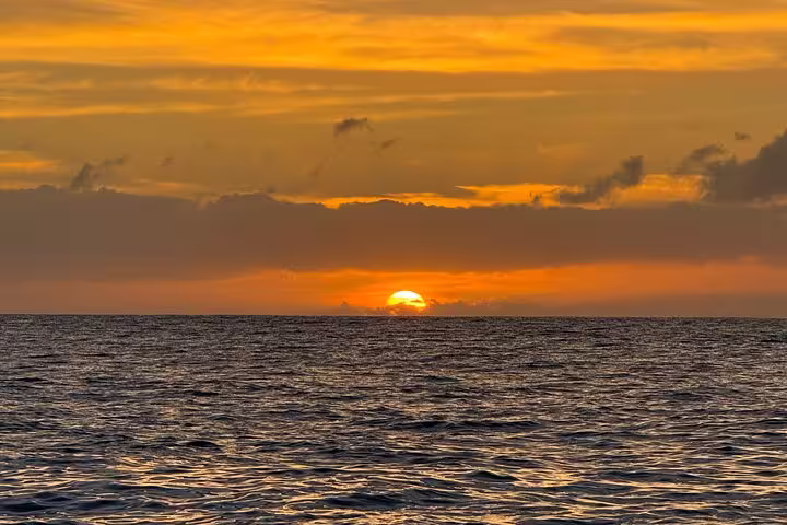 Golden sunset over the ocean horizon during the Desertas Island tour, offering a breathtaking scenic view.