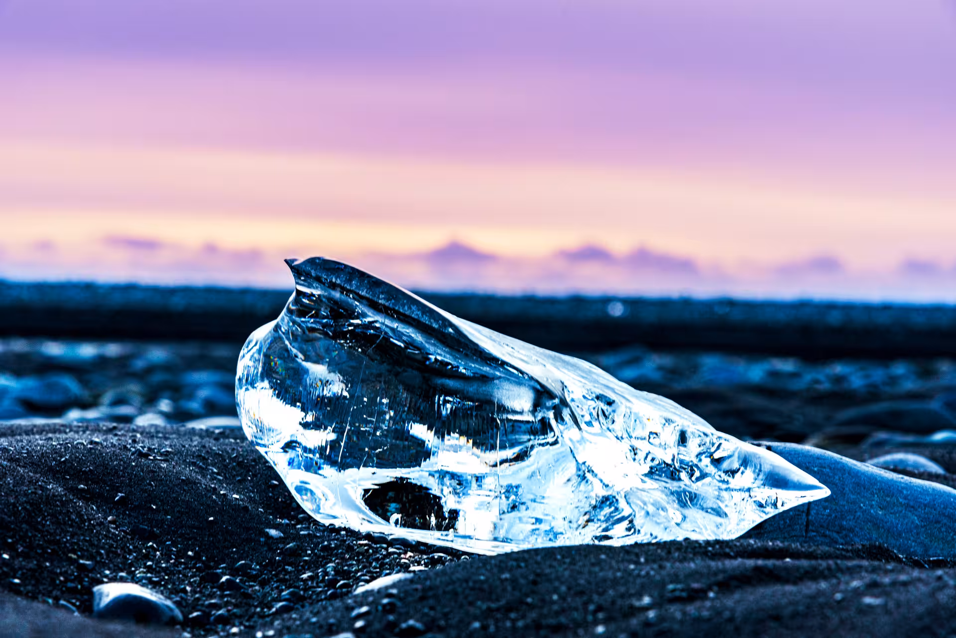 Crystal clear ice chunk on black sand beach at Diamond Beach Iceland during purple sunset