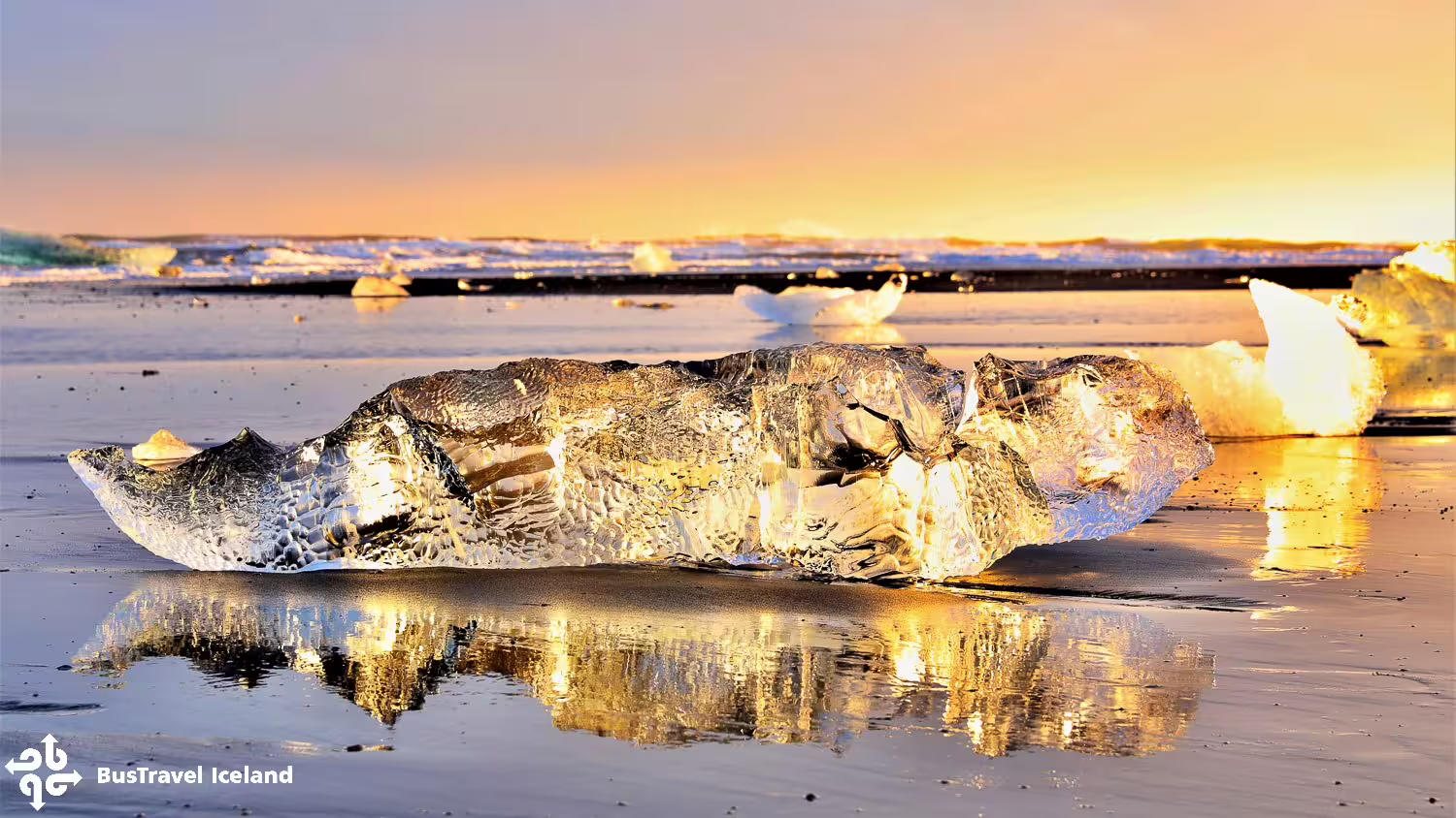 Glowing ice chunk on black sand Diamond Beach Iceland at golden sunset with icebergs in background
