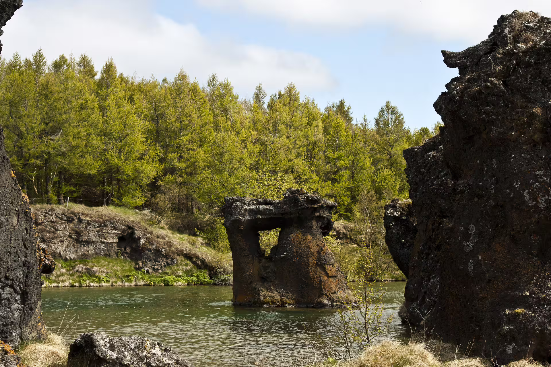 Rocky lava formations and green forest reflected in calm lake waters in North Iceland