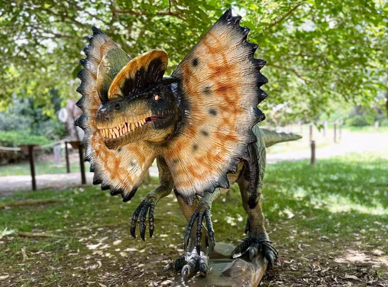 Dinosaur with colorful frills in Porto Conte Park, Alghero, inviting visitors to a thrilling Jurassic experience.