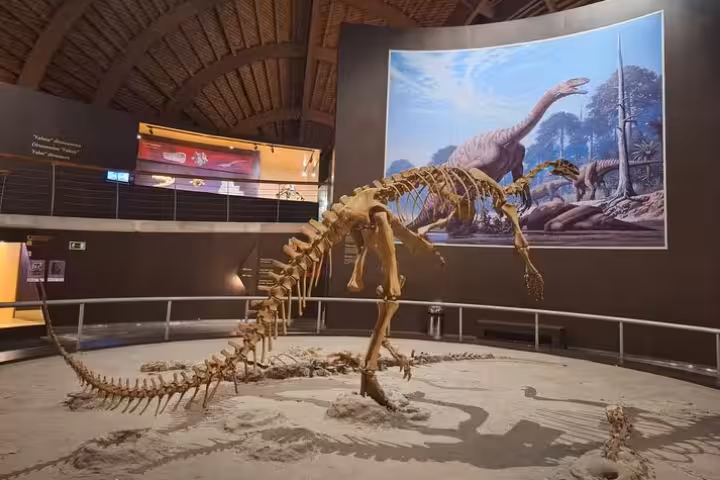 Dinosaur skeleton in the main hall of Jurassic Museum of Asturias, featuring prehistoric exhibits near Oviedo.