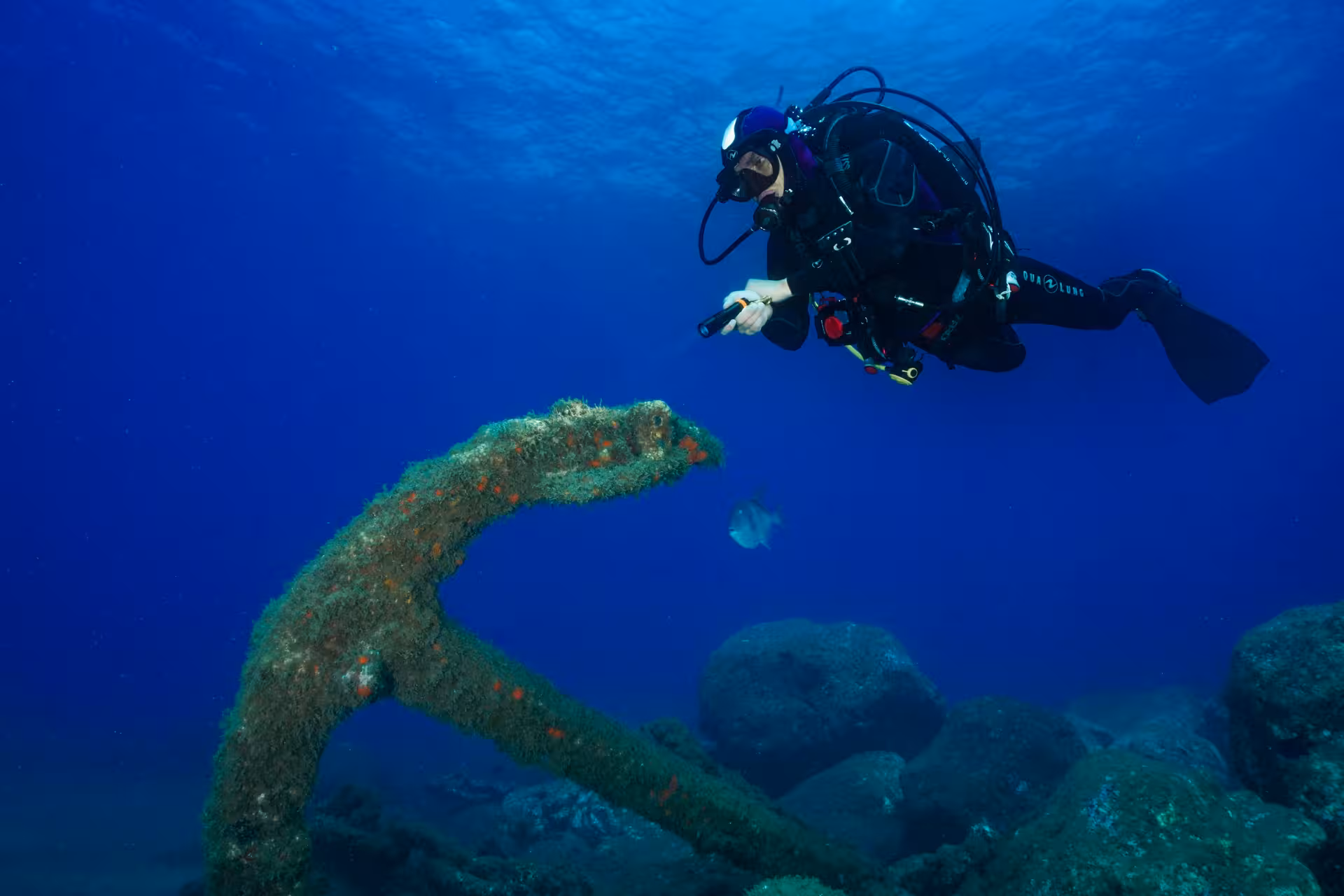 Diver exploring a submerged anchor on a vibrant house-reef dive from shore, showcasing marine life and clear waters.