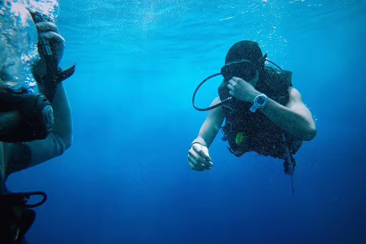 Diver underwater in the Red Sea on Mahmya Island day trip from Hurghada, Egypt snorkeling tour