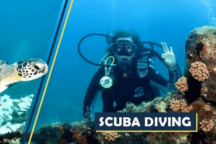 Diver exploring coral reef with sea turtle during morning baptism dive tour by Paraty Tours.