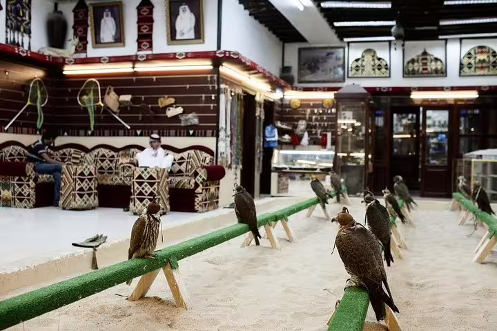 Traditional Majlis with falcons perched on stands, showcasing Qatari culture in Doha's Souq Waqif.