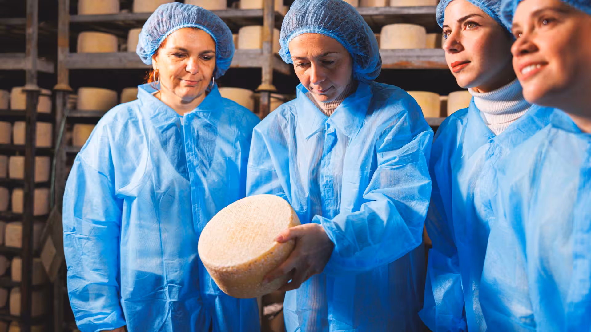 Visitors in blue attire inspecting cheese wheels during Dolianova cheese factory tour and workshop.