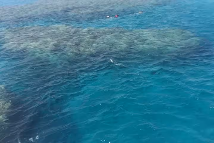 Aerial view of Dolphin House National Park reef in the Red Sea on a full-day snorkeling trip from Hurghada
