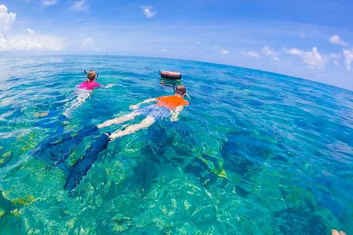 Snorkelers float over vibrant coral gardens at Samadai Reef on Dolphin House snorkeling trip from Marsa Alam