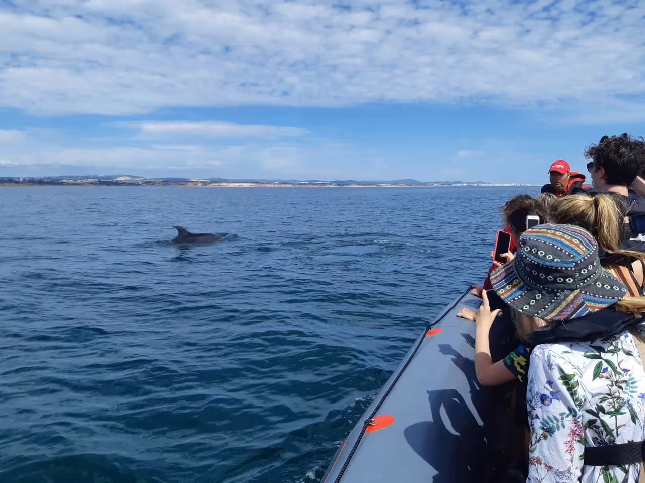 Passengers watch a dolphin surface near the boat on an Albufeira Marina cruise, Algarve dolphin watching experience