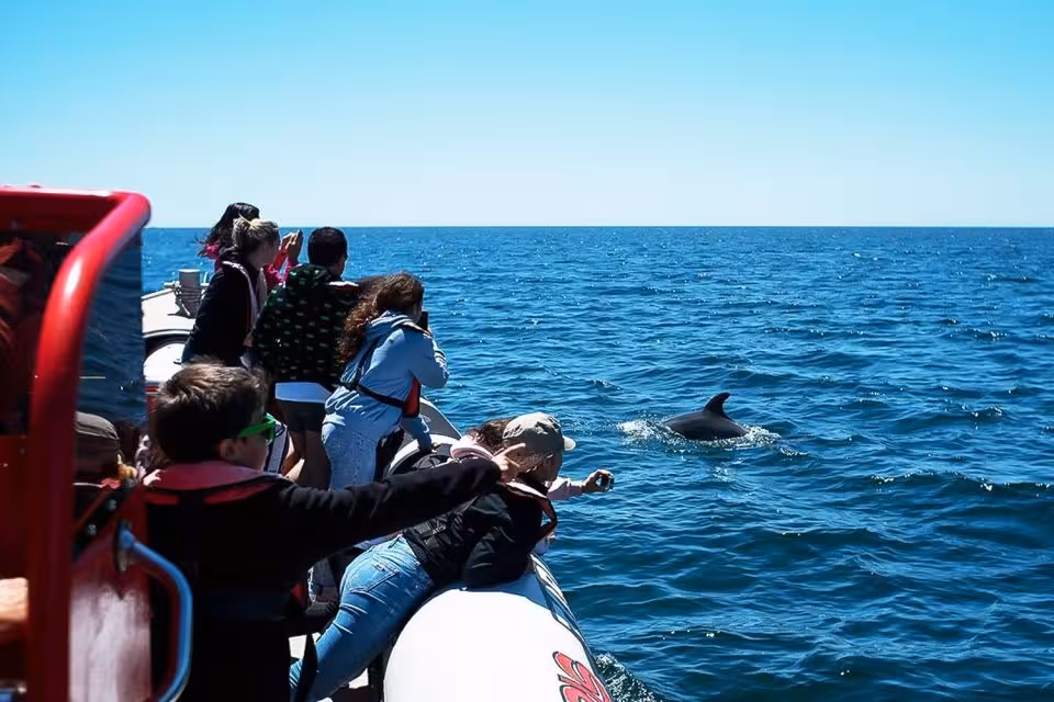 Excited tourists photographing a wild dolphin surfacing beside their boat on a Lagos Algarve dolphin watching tour